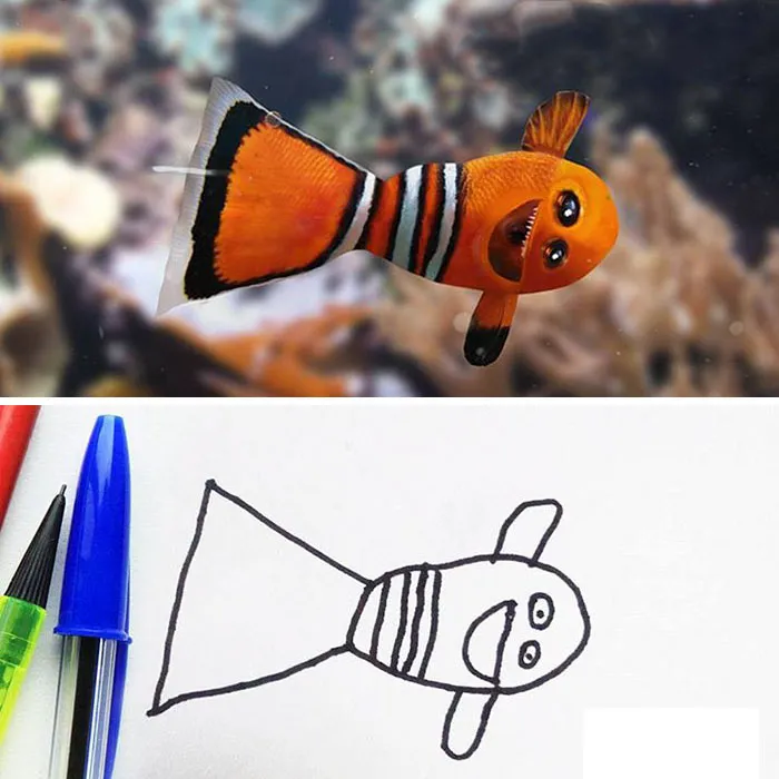 Clown Fish