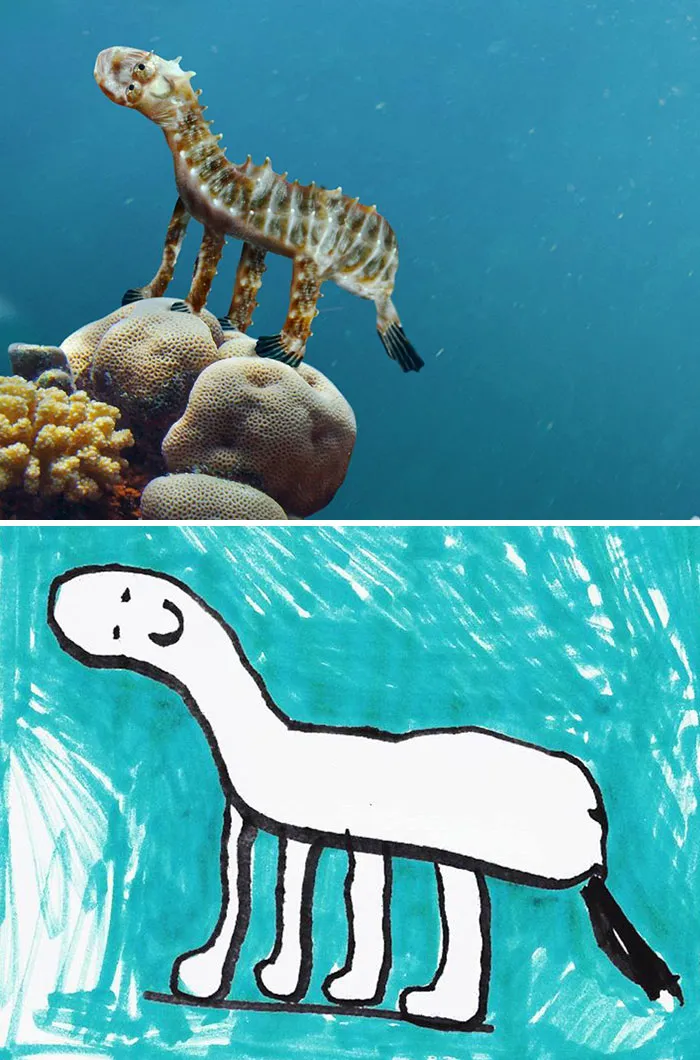 Seahorse 