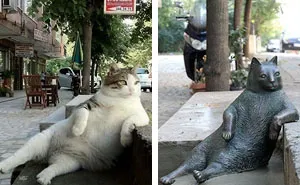 Istanbul's Most Famous Cat Honored With Its Own Statue At Its Favorite Spot