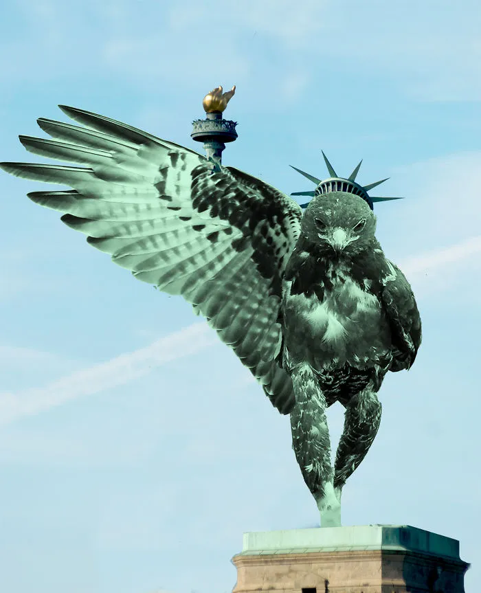 Libertyhawk