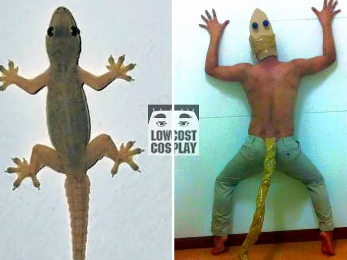 Lizard