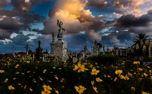 My Obsession With Capturing Waverley Cemetery - At Night!
