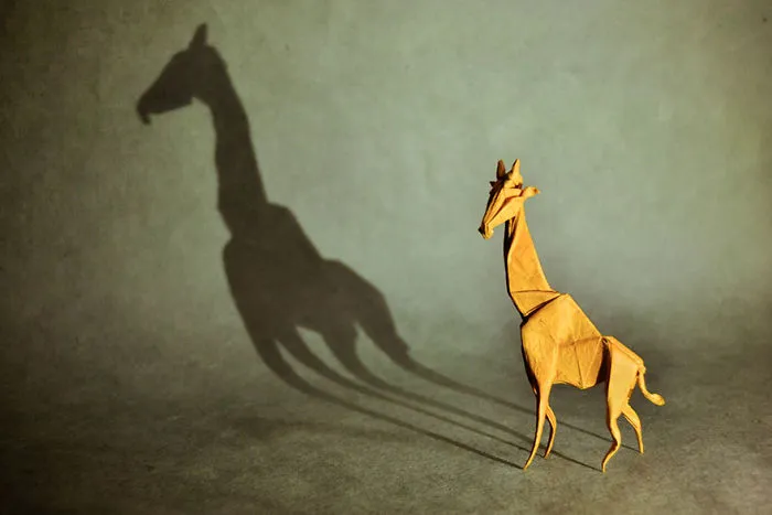 140 Incredible Origami Animals By Spanish Artist Gonzalo Calvo