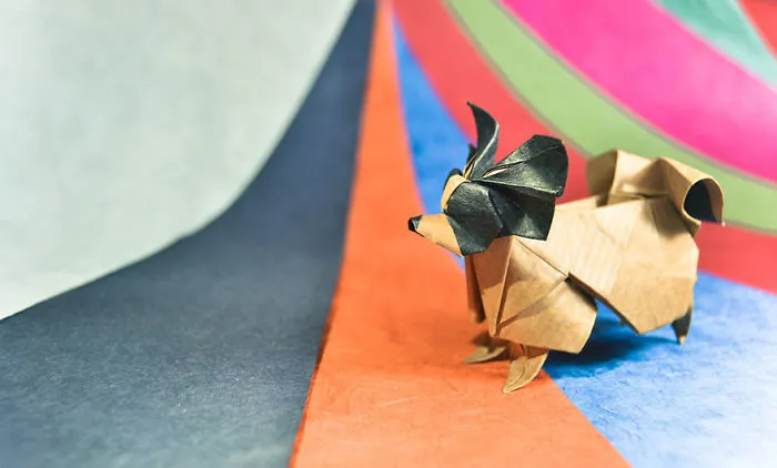 140 Incredible Origami Animals By Spanish Artist Gonzalo Calvo