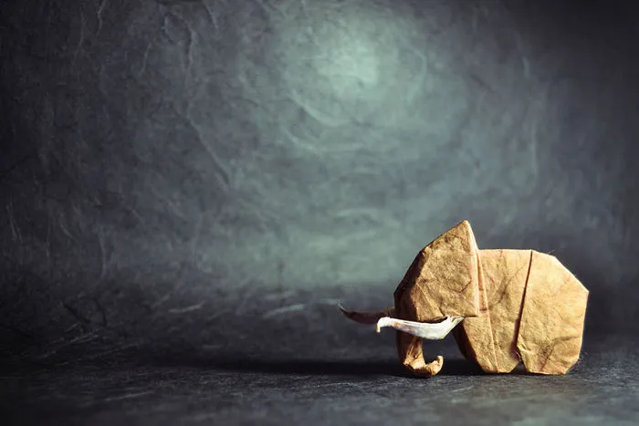 140 Incredible Origami Animals By Spanish Artist Gonzalo Calvo