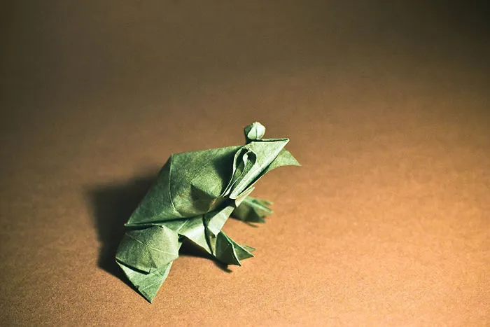 140 Incredible Origami Animals By Spanish Artist Gonzalo Calvo