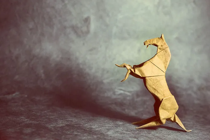 140 Incredible Origami Animals By Spanish Artist Gonzalo Calvo