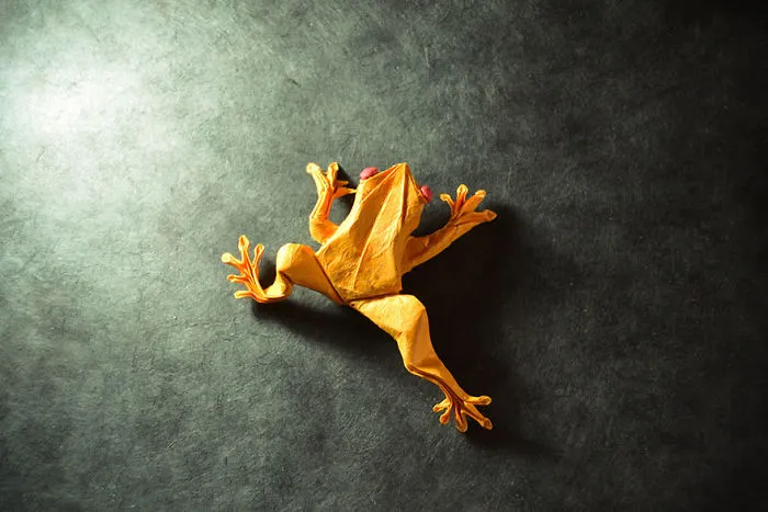 140 Incredible Origami Animals By Spanish Artist Gonzalo Calvo