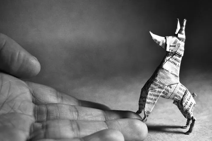 140 Incredible Origami Animals By Spanish Artist Gonzalo Calvo