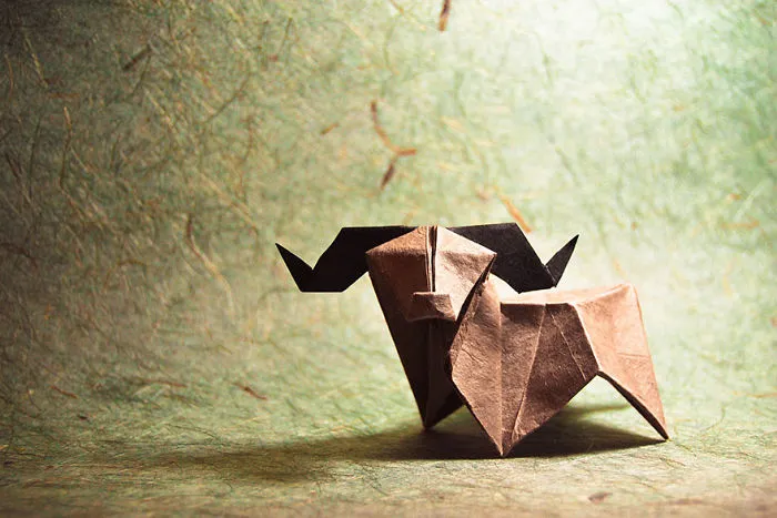 140 Incredible Origami Animals By Spanish Artist Gonzalo Calvo