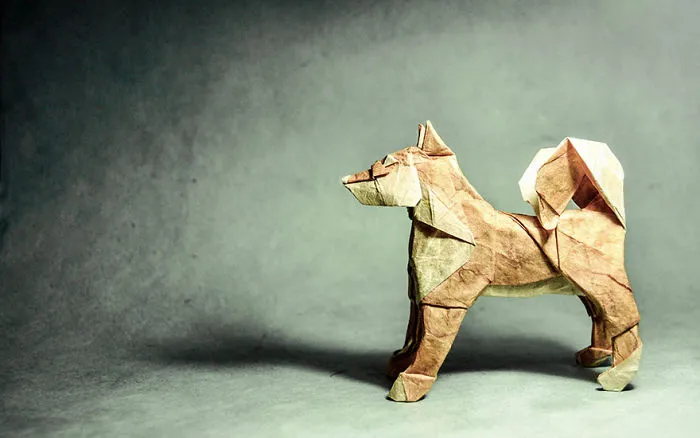 140 Incredible Origami Animals By Spanish Artist Gonzalo Calvo