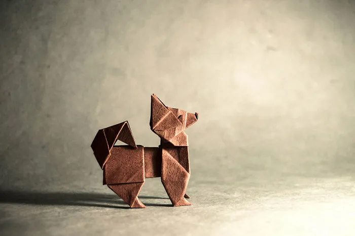 140 Incredible Origami Animals By Spanish Artist Gonzalo Calvo