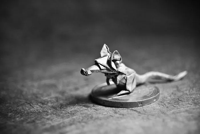 140 Incredible Origami Animals By Spanish Artist Gonzalo Calvo