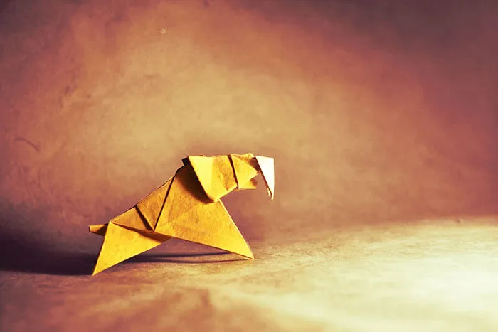 140 Incredible Origami Animals By Spanish Artist Gonzalo Calvo