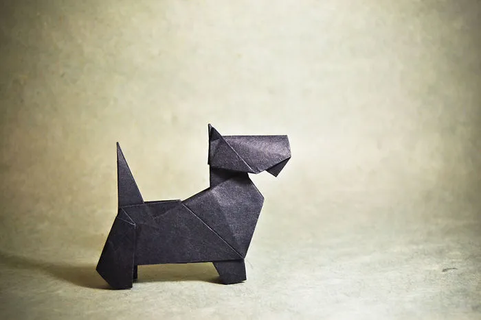 140 Incredible Origami Animals By Spanish Artist Gonzalo Calvo