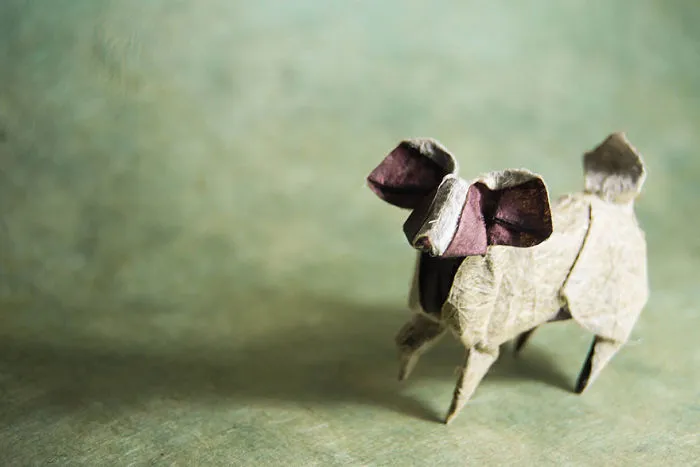 140 Incredible Origami Animals By Spanish Artist Gonzalo Calvo