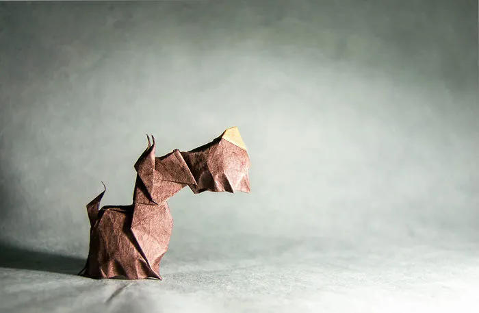 140 Incredible Origami Animals By Spanish Artist Gonzalo Calvo