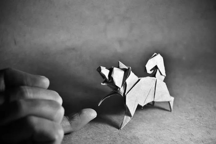 140 Incredible Origami Animals By Spanish Artist Gonzalo Calvo