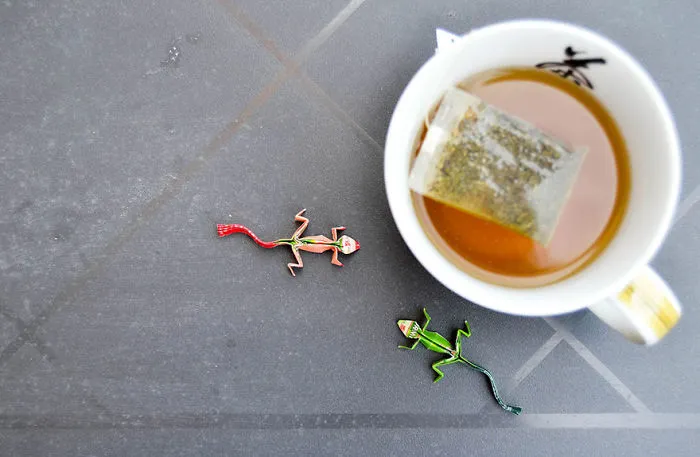 140 Incredible Origami Animals By Spanish Artist Gonzalo Calvo