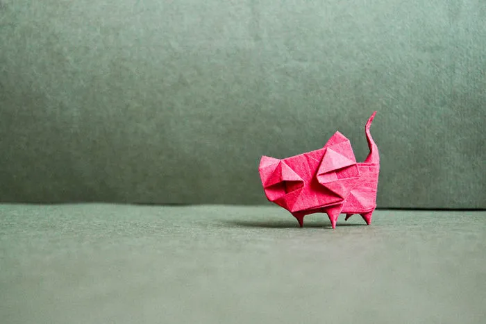 140 Incredible Origami Animals By Spanish Artist Gonzalo Calvo