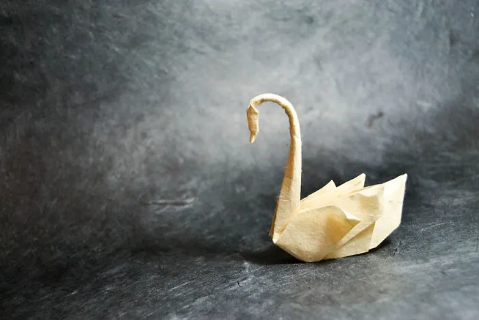 140 Incredible Origami Animals By Spanish Artist Gonzalo Calvo