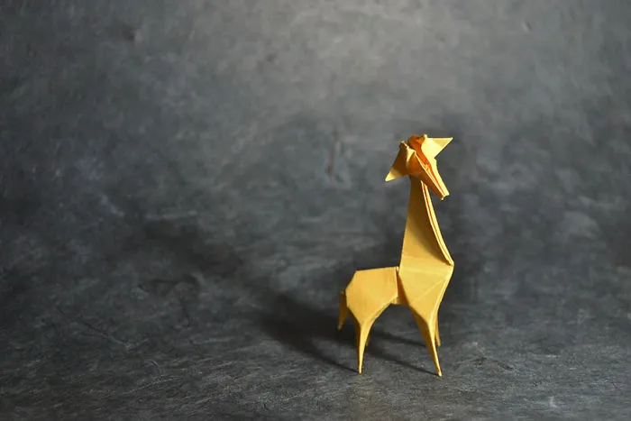 140 Incredible Origami Animals By Spanish Artist Gonzalo Calvo