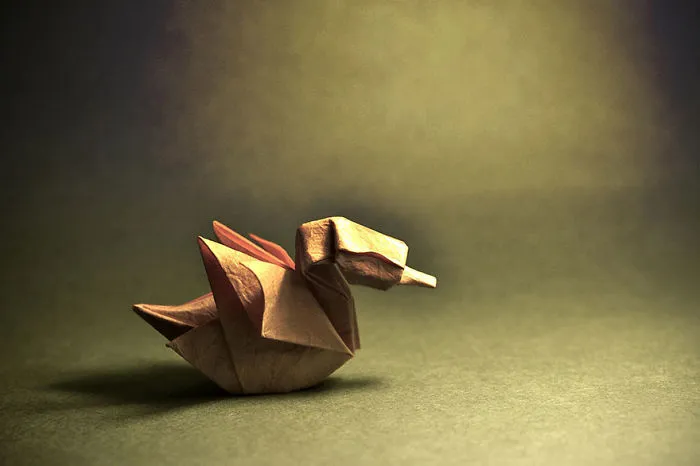 140 Incredible Origami Animals By Spanish Artist Gonzalo Calvo
