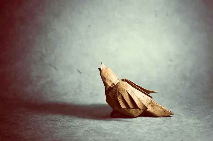 140 Incredible Origami Animals By Spanish Artist Gonzalo Calvo