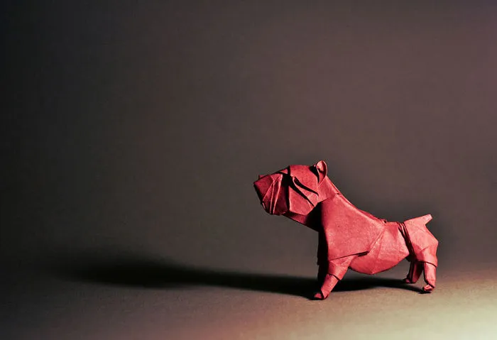140 Incredible Origami Animals By Spanish Artist Gonzalo Calvo