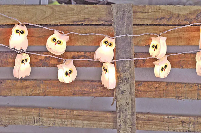 Owl Paper Lights