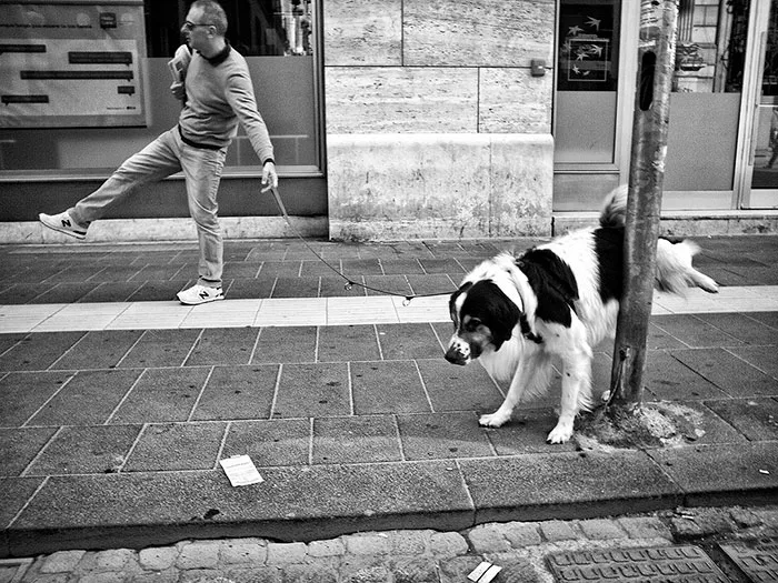191 Perfectly Timed Street Photography Shots That Show Timing Is Everything