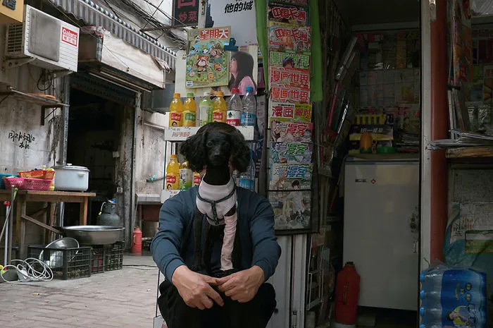 191 Perfectly Timed Street Photography Shots That Show Timing Is Everything