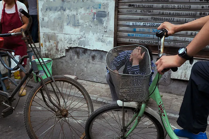 191 Perfectly Timed Street Photography Shots That Show Timing Is Everything