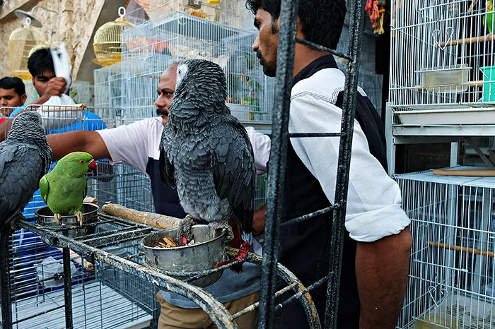 191 Perfectly Timed Street Photography Shots That Show Timing Is Everything