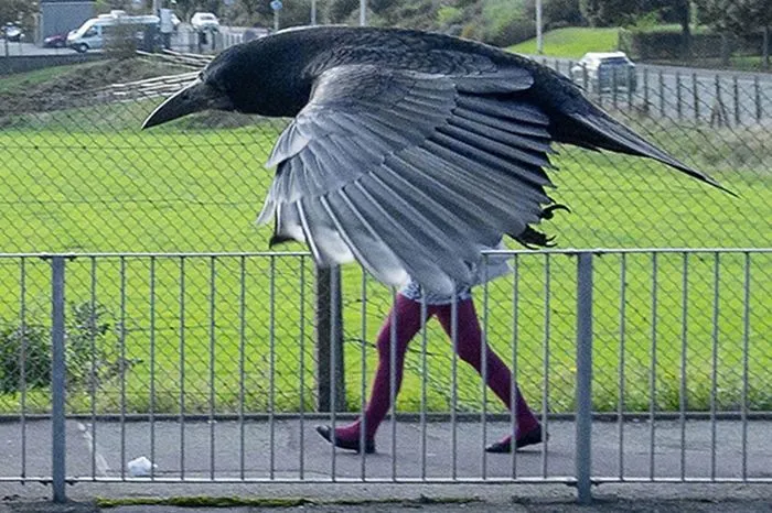 191 Perfectly Timed Street Photography Shots That Show Timing Is Everything
