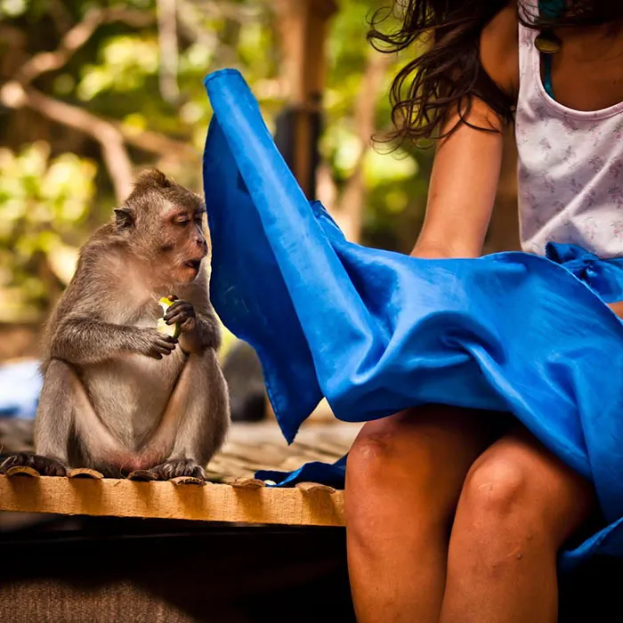 191 Perfectly Timed Street Photography Shots That Show Timing Is Everything