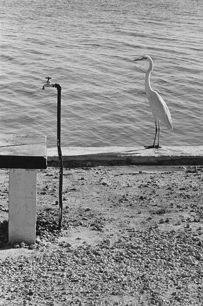 Perfectly Timed Street Photography