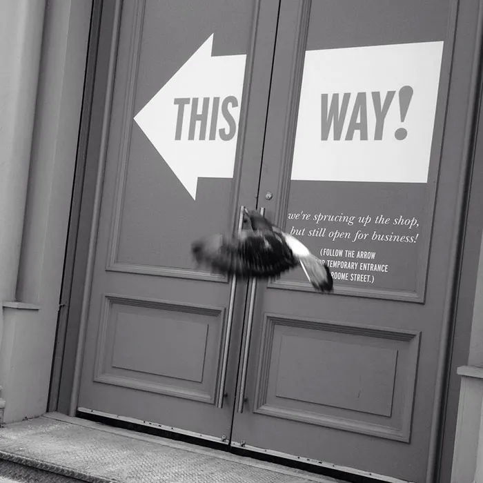 191 Perfectly Timed Street Photography Shots That Show Timing Is Everything