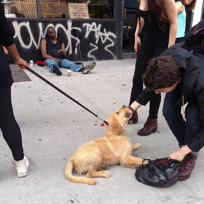 191 Perfectly Timed Street Photography Shots That Show Timing Is Everything