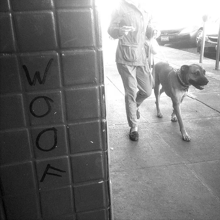 191 Perfectly Timed Street Photography Shots That Show Timing Is Everything