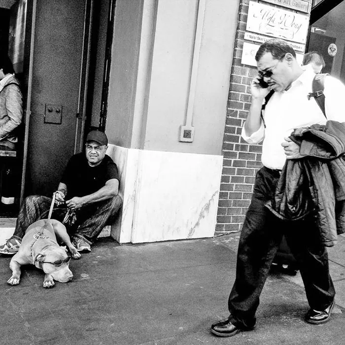 191 Perfectly Timed Street Photography Shots That Show Timing Is Everything