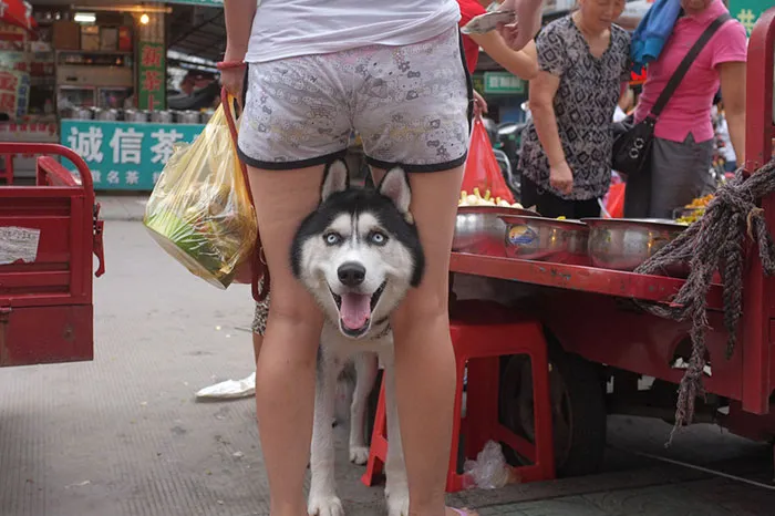191 Perfectly Timed Street Photography Shots That Show Timing Is Everything