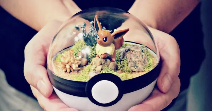 Pokeball Terrariums Are A Thing Now But The Demand Is So Big It's Hard To 'Catch' Them