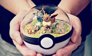 Pokeball Terrariums Are A Thing Now But The Demand Is So Big It's Hard To 'Catch' Them
