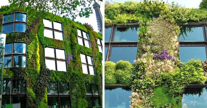 Paris' New Law Allows Anyone To Plant Urban Gardens