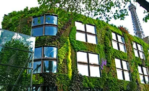 Paris' New Law Allows Anyone To Plant Urban Gardens