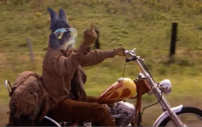 Biker Bunny
