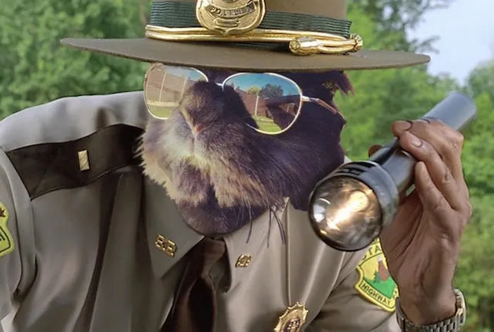 Supertrooper - Rabbit