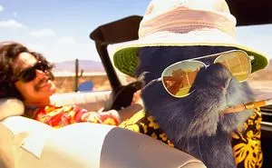 Somebody Put Sunglasses On A Bunny And It Started An Epic Photoshop Battle (70 Pics)