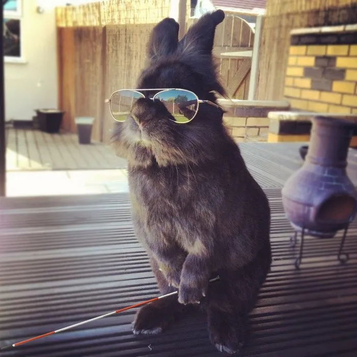 And You Thought He Was Wearing Them To Look Cool